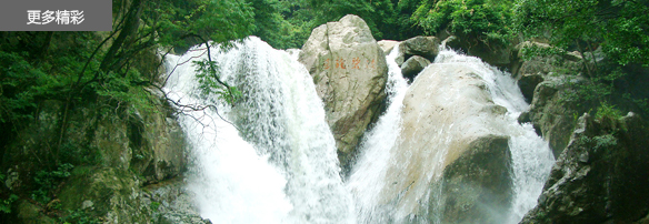 活動(dòng)2